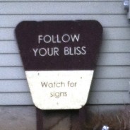 Follow Your Bliss