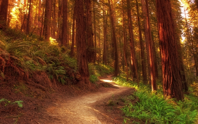 Is the Conventional Path the Only Path? | Dawn Greaney